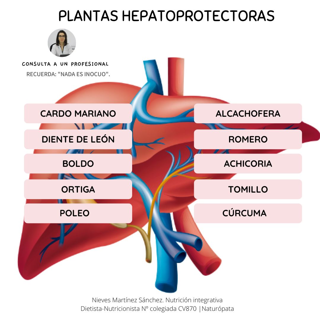 Plantas hepatoprotectoras